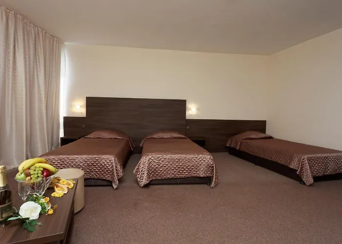 Elena And Wellness 4*