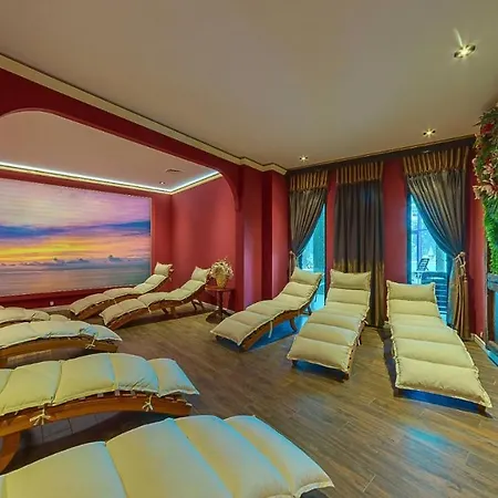Elena And Wellness 酒店 4*